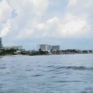 When Sharks attack...