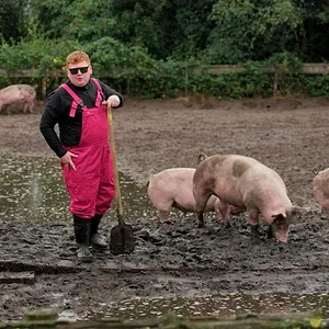 Les stars sont dans le pré