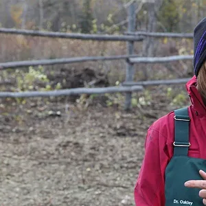 Michelle ou la vie sauvage