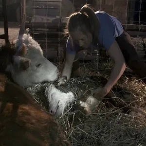 Michelle ou la vie sauvage