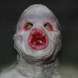 X-Files : Aux frontières du réel