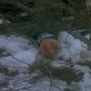 New York, police judiciaire