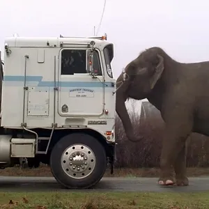 X-Files : Aux frontières du réel