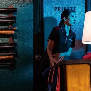 The Cleaning Lady