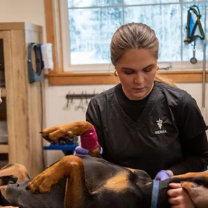 Michelle ou la vie sauvage