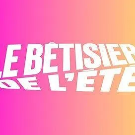 Le bêtisier de l'été
