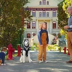 Pup Academy : L'école secrète