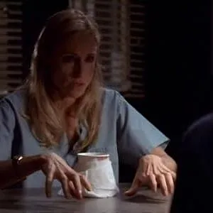 New York Unité Spéciale