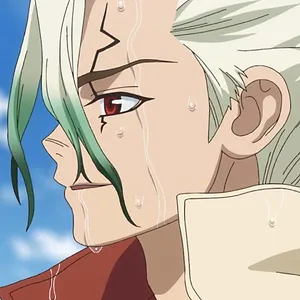 Dr. STONE