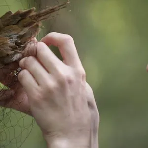 Connected