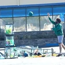 The Last Man on Earth