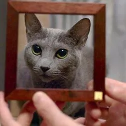 Cat People