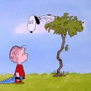 Les aventures de Charlie Brown et de Snoopy