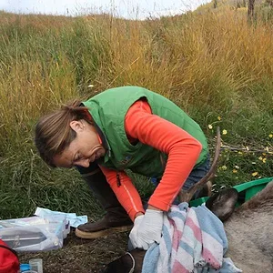 Michelle ou la vie sauvage