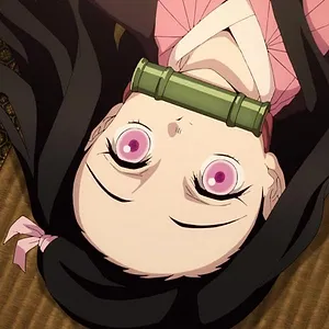 Demon Slayer : Kimetsu no Yaiba