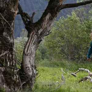 Michelle ou la vie sauvage