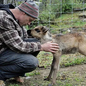Michelle ou la vie sauvage