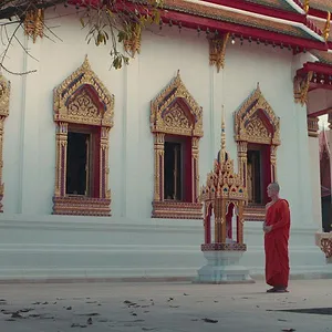The Believers