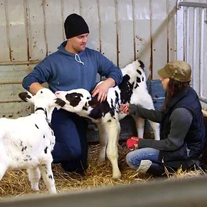 L'amour est dans le pré (Canada)