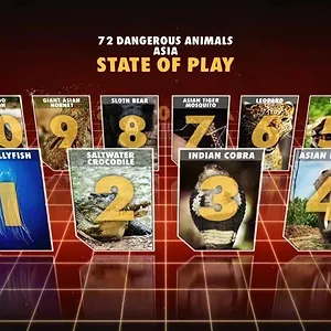 72 animaux dangereux en Asie