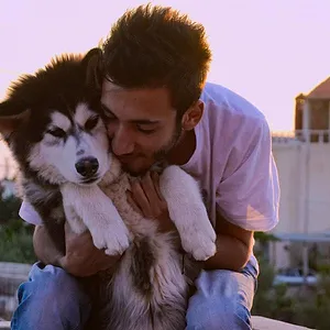 Nos amis les chiens