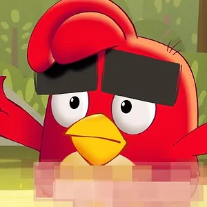 Angry Birds : Un été déjanté