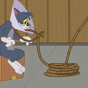 Tom et Jerry Show
