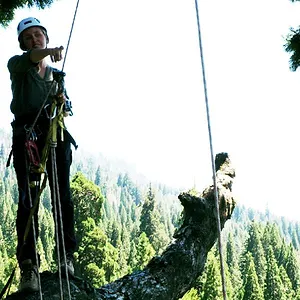 Étrange, mais vrai !
