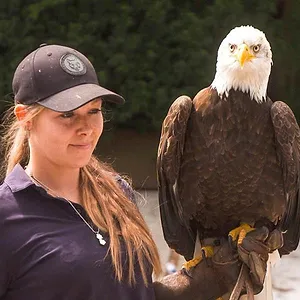 Expédition Pairi Daiza