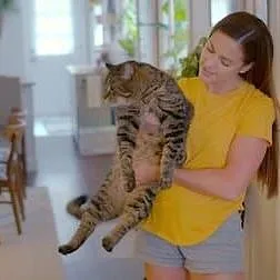 Cat People
