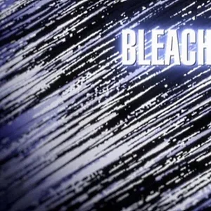 Bleach
