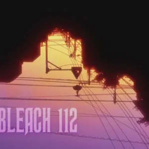 Bleach