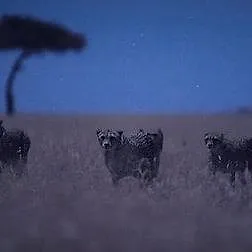 La Terre, La Nuit