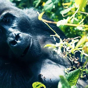 Trafficked: Underworlds with Mariana van Zeller