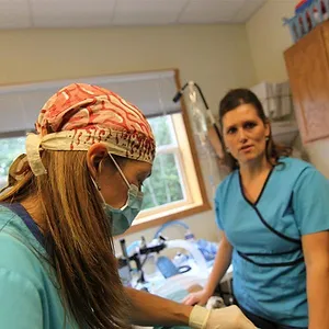 Michelle ou la vie sauvage