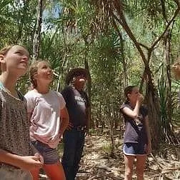 Izzy et les koalas