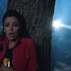 Desperate Housewives