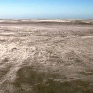 Les grandes migrations