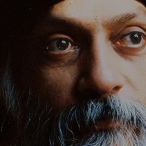 Wild Wild Country