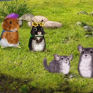 Les Wonder Choux dans la grande ville