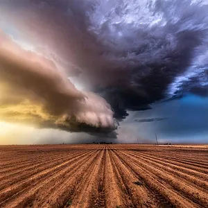 Catastrophes naturelles : Survivre au pire