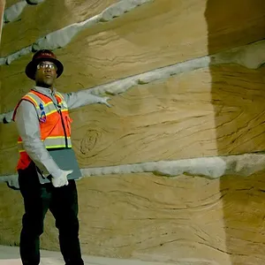 Une Journée à Disney