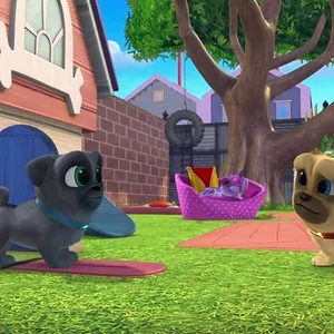 Le monde de Bingo et Rolly