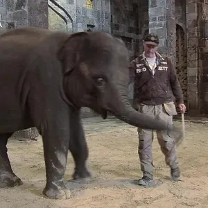 Expédition Pairi Daiza