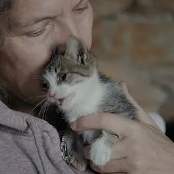 Cat People