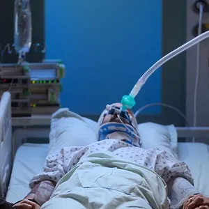 Lambert contre Lambert : au nom de Vincent