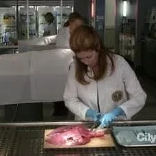 Body of Proof