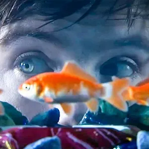 Skins
