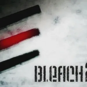 Bleach