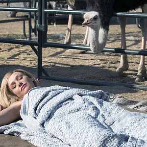 Arrested Development